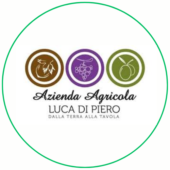 logo luca di piero